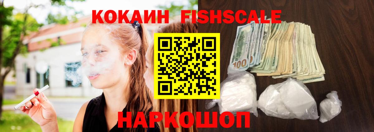 Cocaine FishScale  Кокаин 98%  где найти наркотики  Котовск  Вход с VPN 