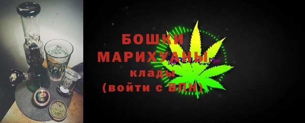 молекула духа Козельск