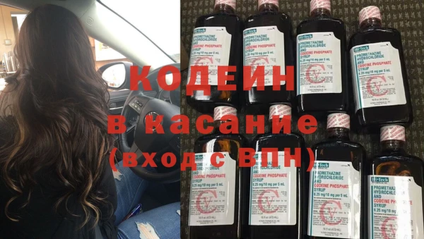 сатива Корсаков