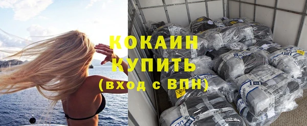сатива Корсаков