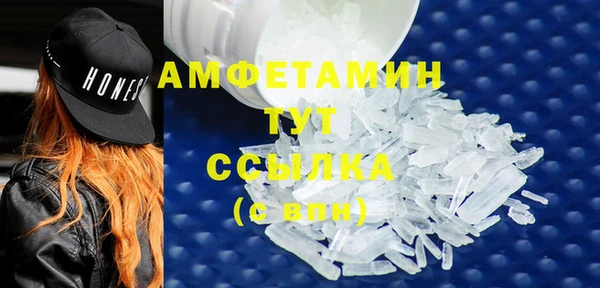 сатива Корсаков
