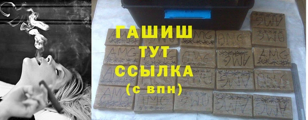 сатива Корсаков