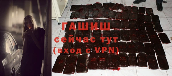 сатива Корсаков