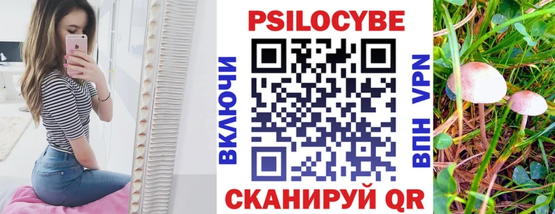 Галлюциногенные грибы Magic Shrooms  Котовск 