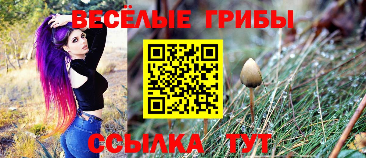 Галлюциногенные грибы Cubensis Котовск