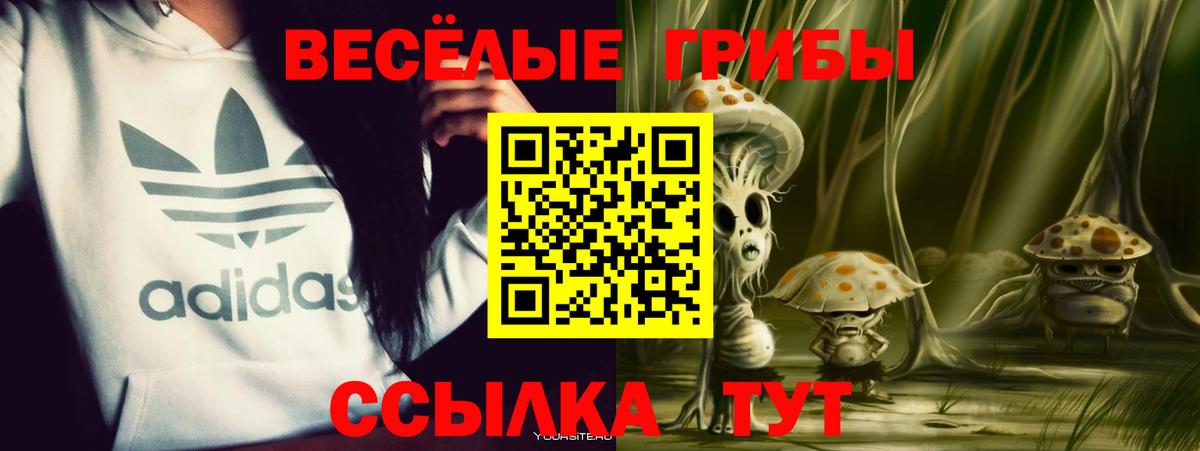 как найти наркотики  Вход с VPN  Котовск  Псилоцибиновые грибы мухоморы  Псилоцибиновые грибы GOLDEN TEACHER 